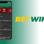 Baji Bet App Download Your Ultimate Guide to Mobile Betting