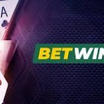 Discover the Excitement of BetWinner Casino Betting